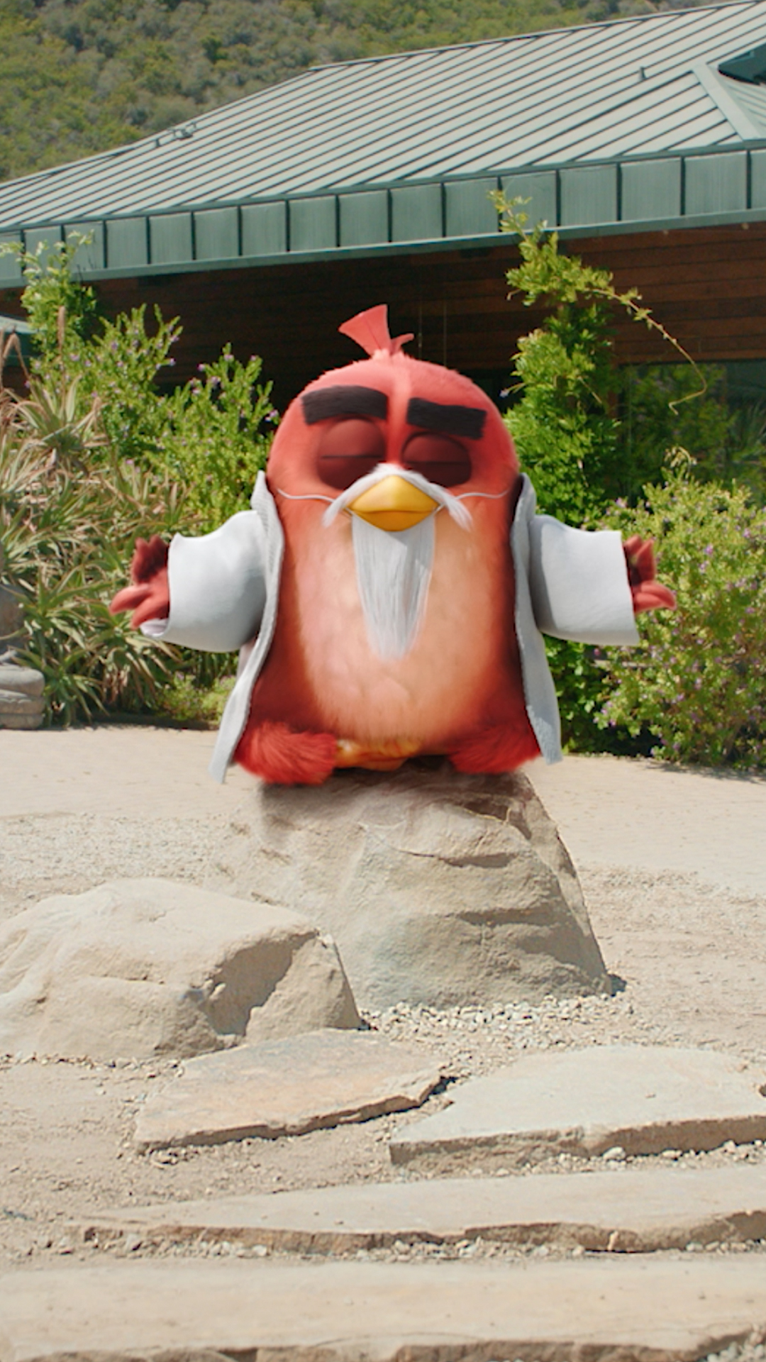 Red Angry Bird in an outside setting standing on a rock with a calm zen pose. He has a false white long beard and moustache with a white coat.